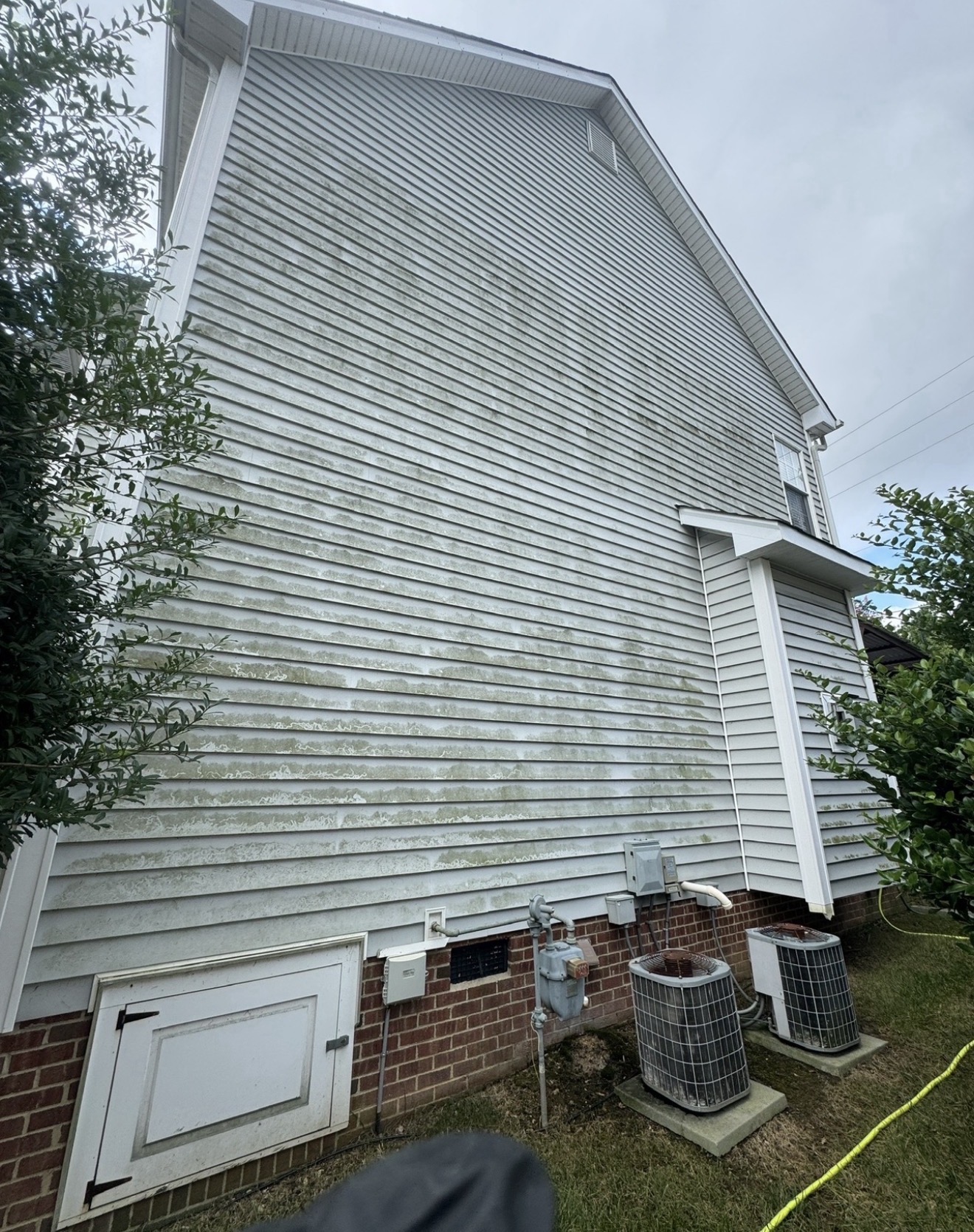 Green algae and mold buildup on vinyl siding before soft washing