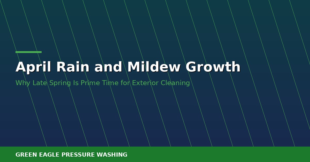 April Mildew Growth on North Carolina Home